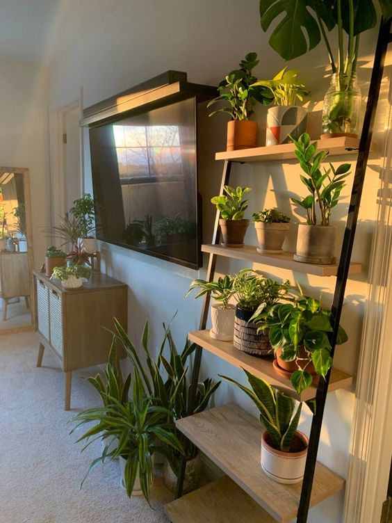 Aesthetic Indoor Plant Stand Ideas According to Pinterest