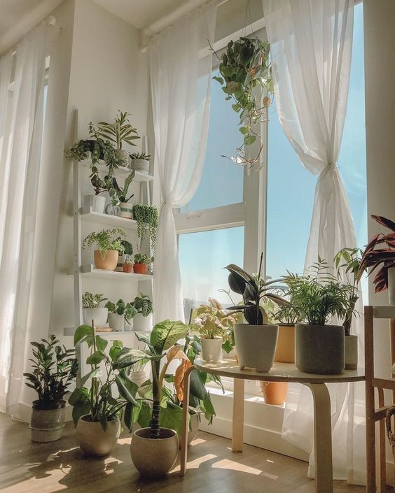 Aesthetic Indoor Plant Stand Ideas According to Pinterest
